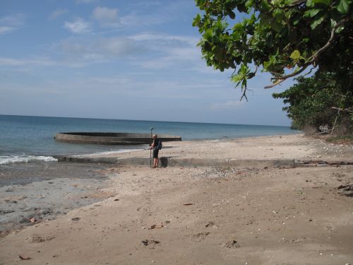 Plage des Badamiers ©F.Brossard