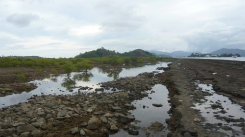 Beach-rock, vasière des Badamiers ©Conservatoire du littoral