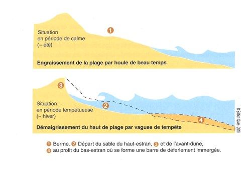 Variation saisonnière du profil de plage (Paskoff, 1998)