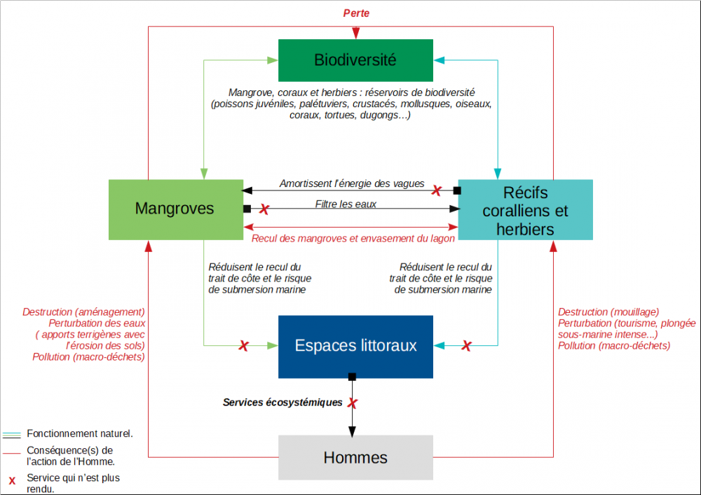 Services écosystémiques et problématiques littorales Schéma non-disponible