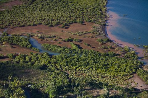 Mangrove de Mayotte ©DEAL976