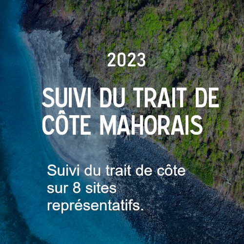 Fiches synthétiques du suivi des plages à Mayotte